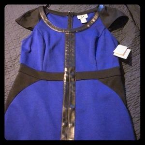 NWT blue dress